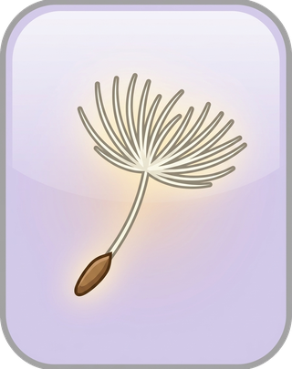 Highly Sensitive Person Test